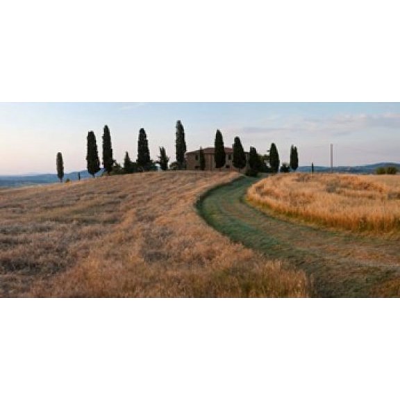 Road leading towards a farmhouse Val dOrcia Tuscany Italy Canvas Art - Panoramic Images (24 x 12)