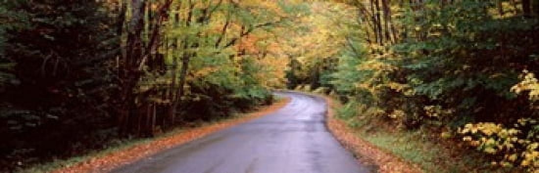 Road passing through a forest Green Bridge Road Adirondack Mountains Thendara Herkimer County New York State USA Canvas Art - Panoramic Images (18 x 6)