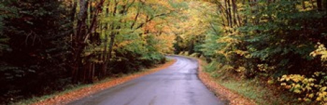 Road passing through a forest Green Bridge Road Adirondack Mountains Thendara Herkimer County New York State USA Canvas Art - Panoramic Images (36 x 12)
