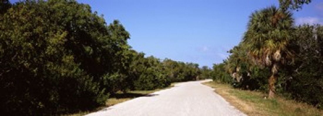 Road passing through Ding Darling National Wildlife Refuge Sanibel Island Lee County Florida USA Canvas Art - Panoramic Images (18 x 7)