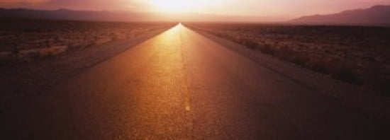 Road passing through a desert Nevada USA Canvas Art - Panoramic Images (36 x 13)