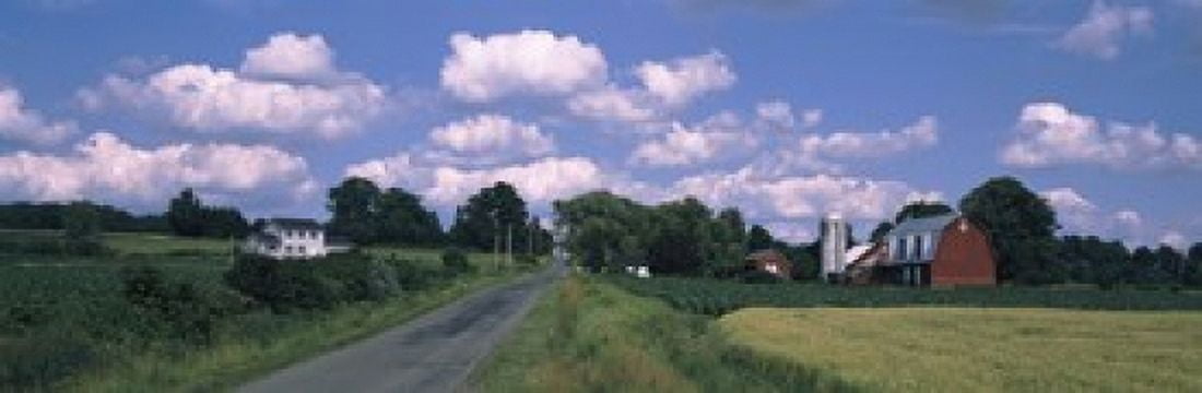 Road passing through a farm Emmons Road Tompkins County Finger Lakes Region New York State USA Canvas Art - Panoramic Images (36 x 12)