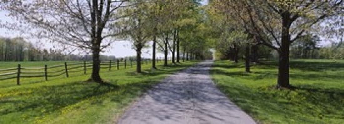Road passing through a farm Knox Farm State Park East Aurora New York State USA Canvas Art - Panoramic Images (18 x 7)
