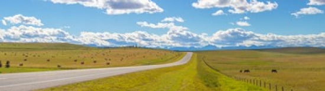 Road passing through a field Alberta Canada Canvas Art - Panoramic Images (20 x 6)