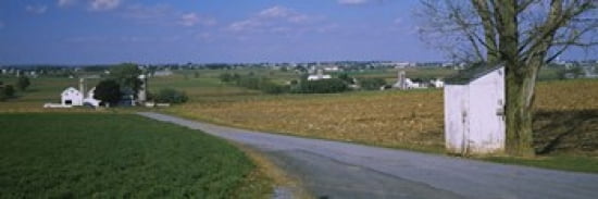 Road passing through a field Amish Farms Lancaster County Pennsylvania USA Canvas Art - Panoramic Images (36 x 12)