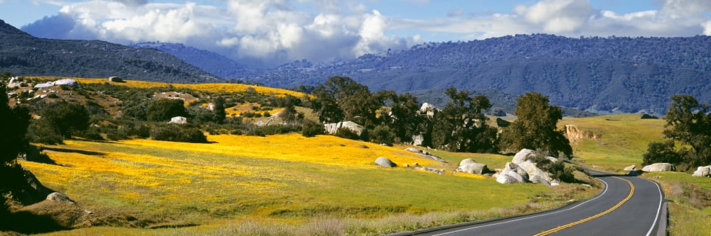 Road passing through a field US Route 79 Santa Ysabel Warner Springs California USA Canvas Art - Panoramic Images (36 x 12)