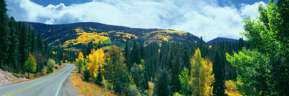 Road passing through a forest Angel Fire Colfax County New Mexico USA Canvas Art - Panoramic Images (12 x 36)
