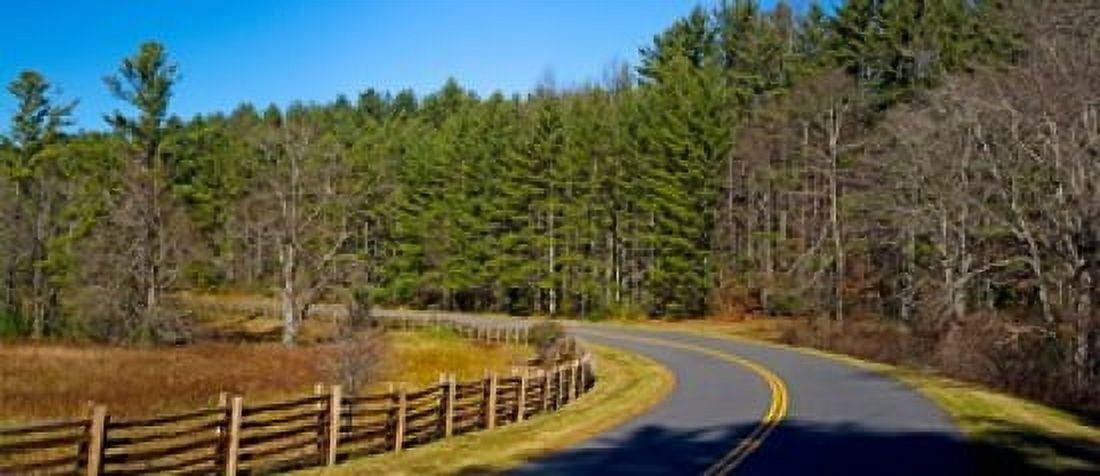 Road passing through a forest Blue Ridge Parkway North Carolina USA Canvas Art - Panoramic Images (15 x 6)