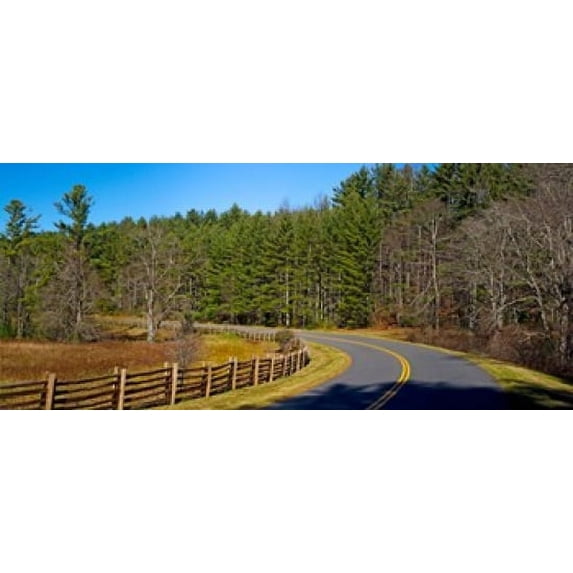 Road passing through a forest, Blue Ridge Parkway, North Carolina, USA Poster Print (15 x 6)