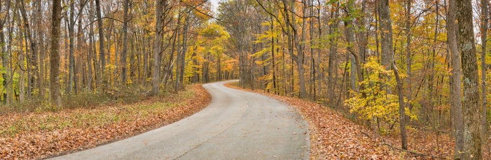 Road passing through a forest Brown County State Park Brown County Indiana USA Canvas Art - Panoramic Images (12 x 36)