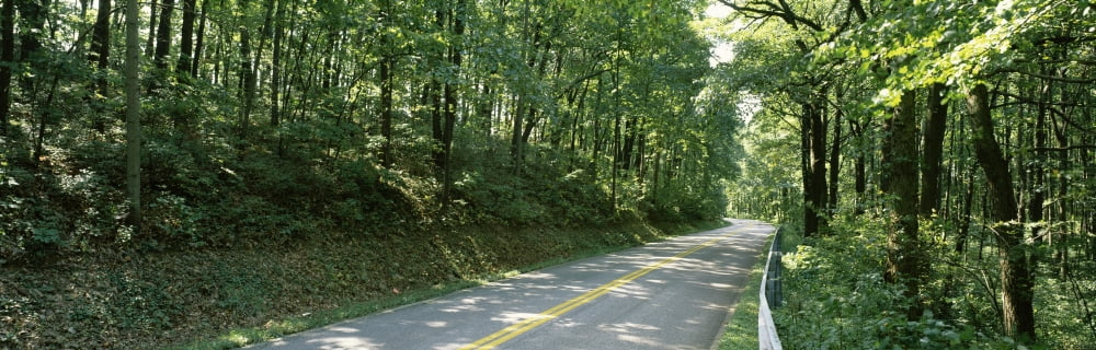 Road passing through a forest Carroll County Maryland USA Canvas Art - Panoramic Images (6 x 18)