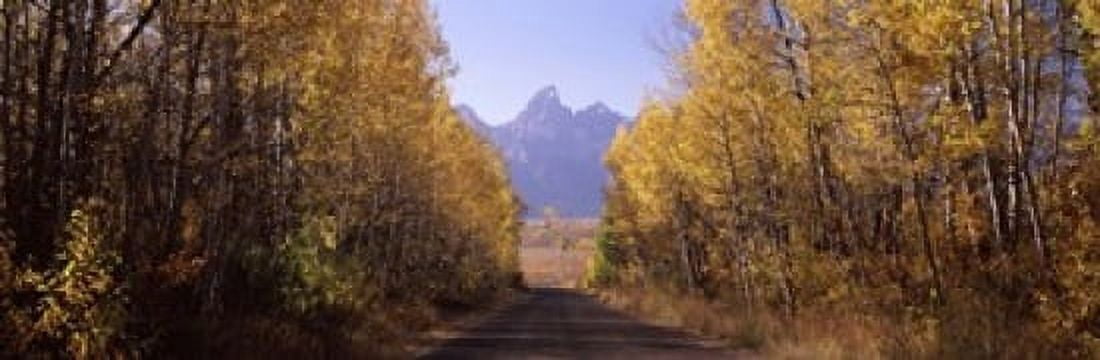 Road passing through a forest Grand Teton National Park Teton County Wyoming USA Canvas Art - Panoramic Images (18 x 6)