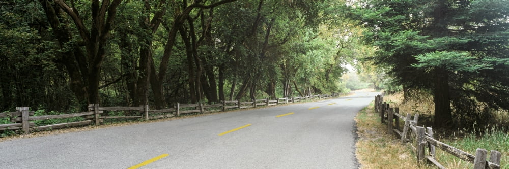 Road passing through a forest Henry Cowell Redwoods State Park California USA Canvas Art - Panoramic Images (36 x 12)