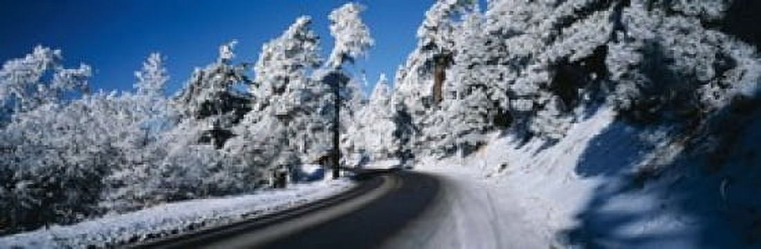 Road passing through a forest Lake Arrowhead San Bernardino County California USA Canvas Art - Panoramic Images (18 x 6)
