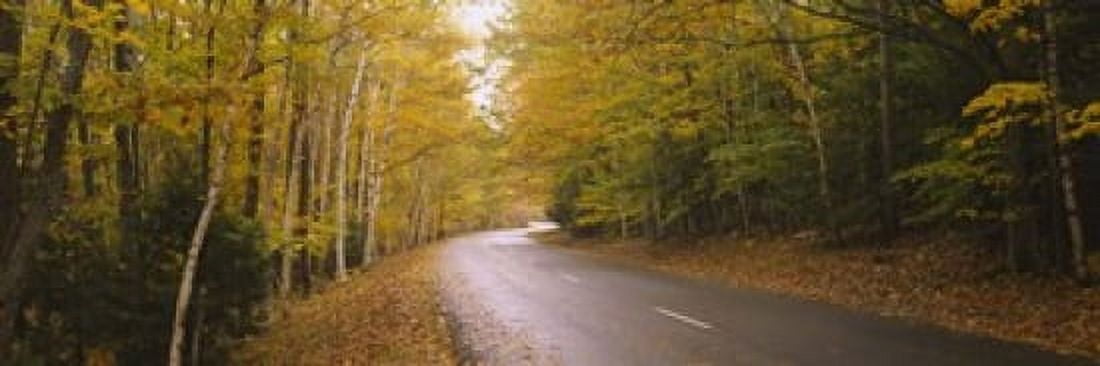 Road passing through a forest Park Loop Road Acadia National Park Mount Desert Island Maine USA Canvas Art - Panoramic Images (18 x 6)