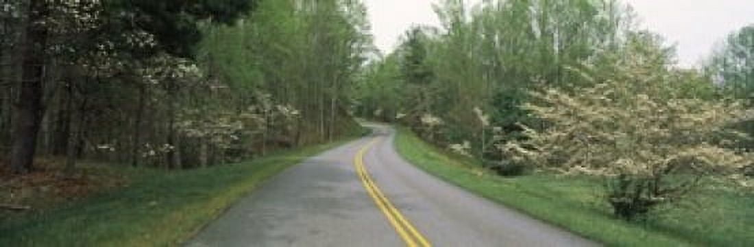 Road passing through a landscape Blue Ridge Parkway Virginia USA Canvas Art - Panoramic Images (36 x 12)