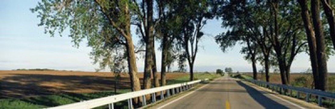 Road passing through a landscape Illinois Route 64 Carroll County Illinois USA Canvas Art - Panoramic Images (18 x 6)