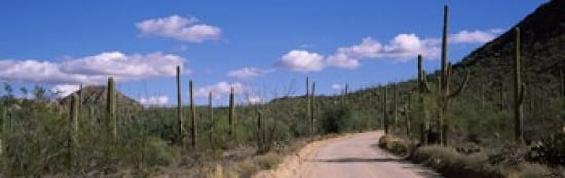 Road passing through a landscape Saguaro National Monument Pima County Tucson Mountains Tucson Arizona USA Canvas Art - Panoramic Images (36 x 12)