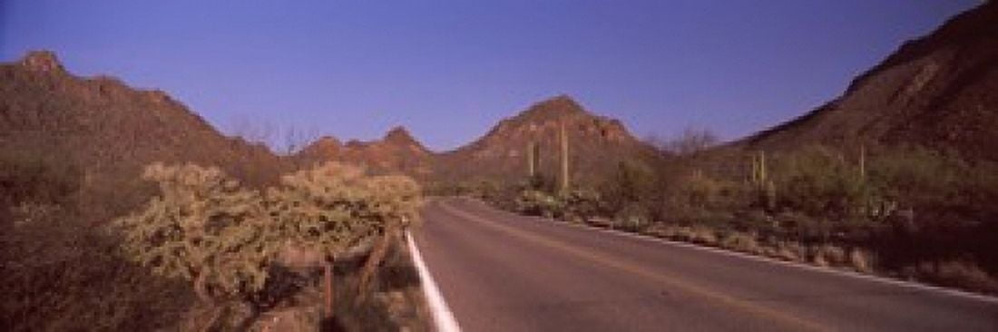 Road passing through a landscape Saguaro National Park Tucson Pima County Arizona USA Canvas Art - Panoramic Images (18 x 6)