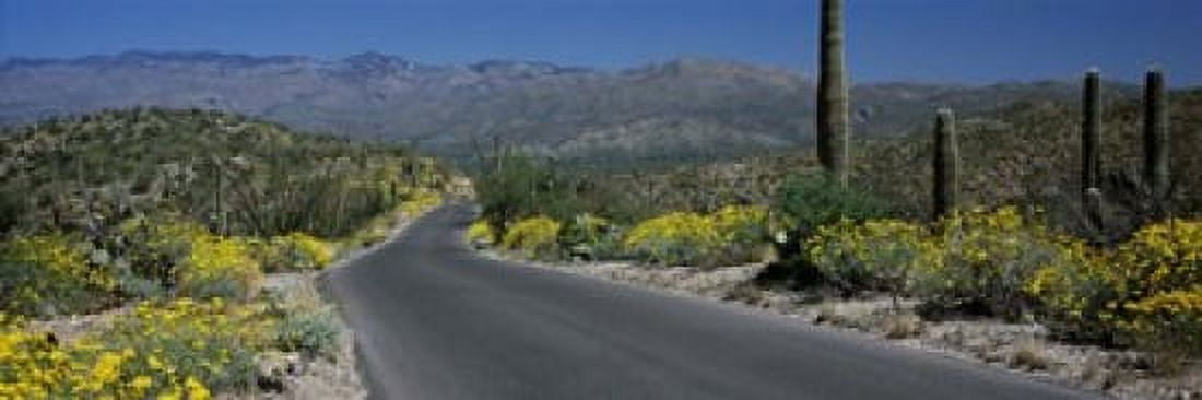 Road passing through a landscape Saguaro National Park Tucson Pima County Arizona USA Canvas Art - Panoramic Images (18 x 6)