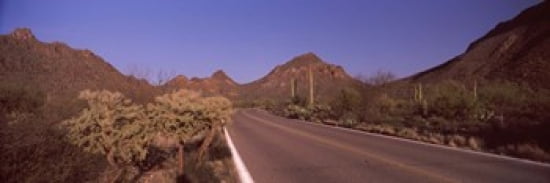 Road passing through a landscape Saguaro National Park Tucson Pima County Arizona USA Canvas Art - Panoramic Images (36 x 12)