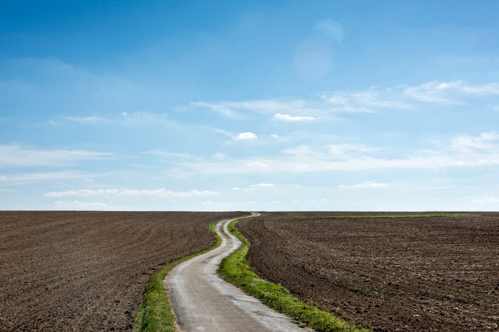 Road passing through an agricultural field Baden-Wurttemberg Germany Canvas Art - Panoramic Images (24 x 36)