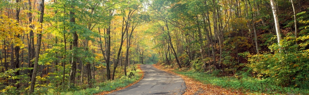 Road passing through autumn forest Golf Link Road Colebrook New Hampshire USA Canvas Art - Panoramic Images (36 x 12)