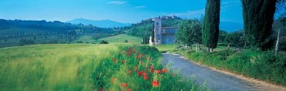 Road passing through field Canvas Art - Panoramic Images (36 x 12)