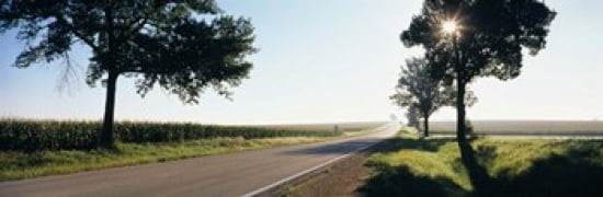 Road passing through fields Illinois Route 64 Illinois USA Canvas Art - Panoramic Images (36 x 12)
