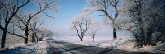 Road passing through winter fields Illinois USA Canvas Art - Panoramic Images (36 x 12)