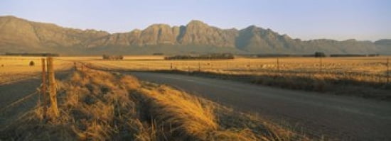 Road running through a farm South Africa Canvas Art - Panoramic Images (36 x 13)