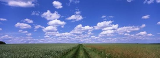 Road through agriculture fields Baden-Wurttemberg Germany Canvas Art - Panoramic Images (36 x 13)