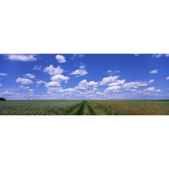 Road through agriculture fields, Baden-Wurttemberg, Germany Poster Print (18 x 7)