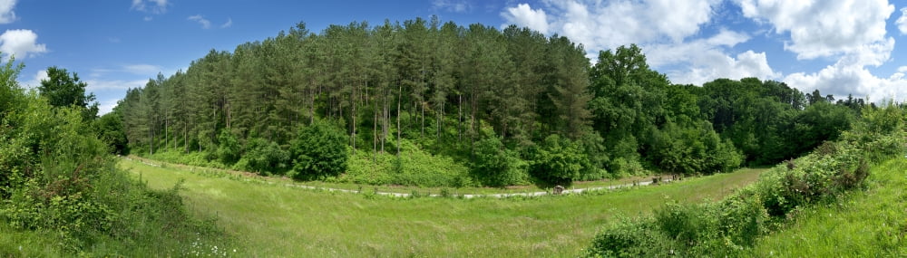 Road through forest Corneville-sur-Risle Eure Haute-Normandy France Canvas Art - Panoramic Images (36 x 12)