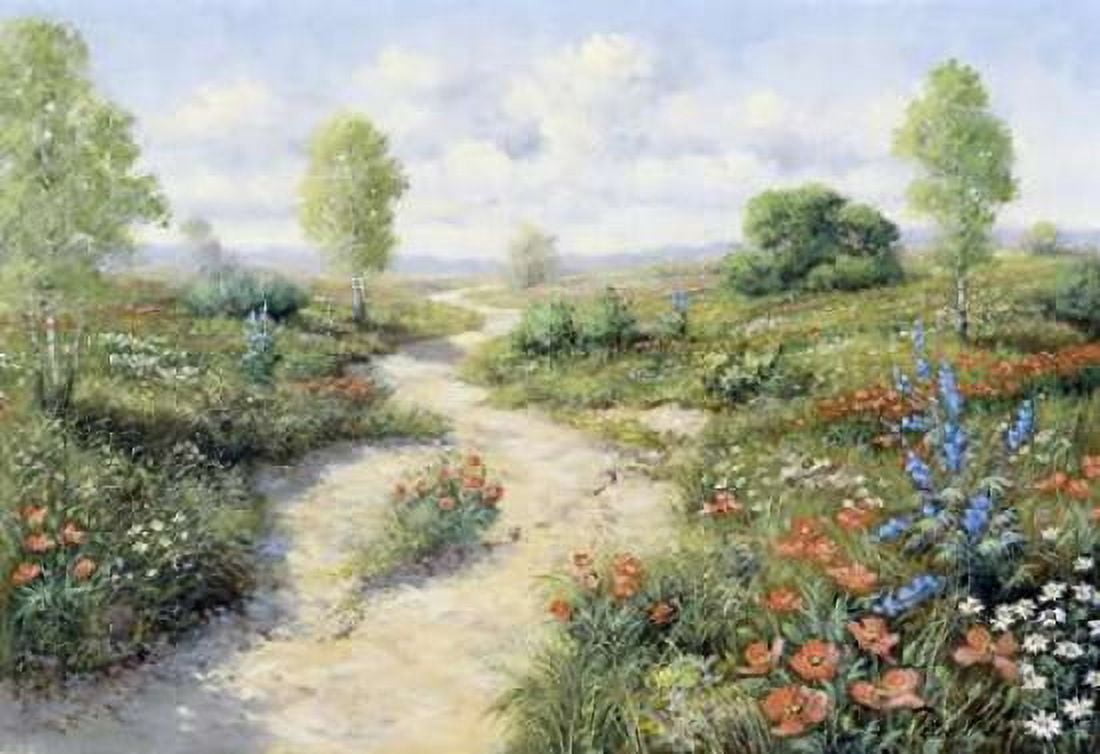 Road to?? Canvas Art - Peter Motz (20 x 28)