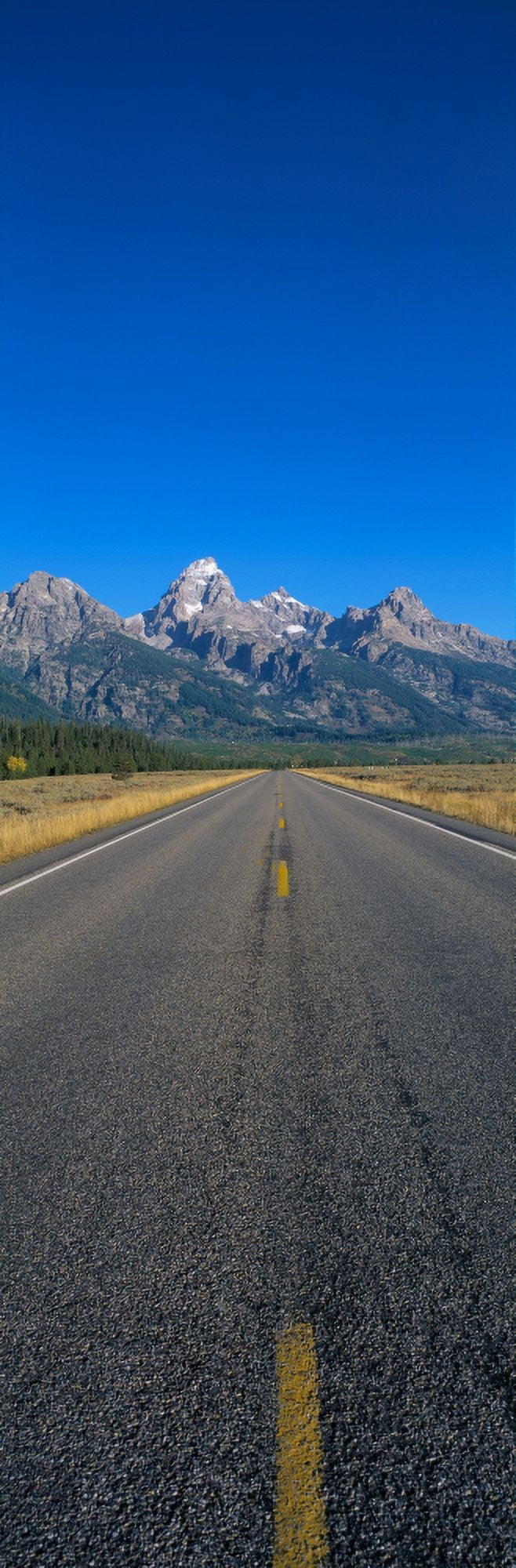 Road to Grand Teton National Park Wyoming Canvas Art - Panoramic Images (27 x 9)