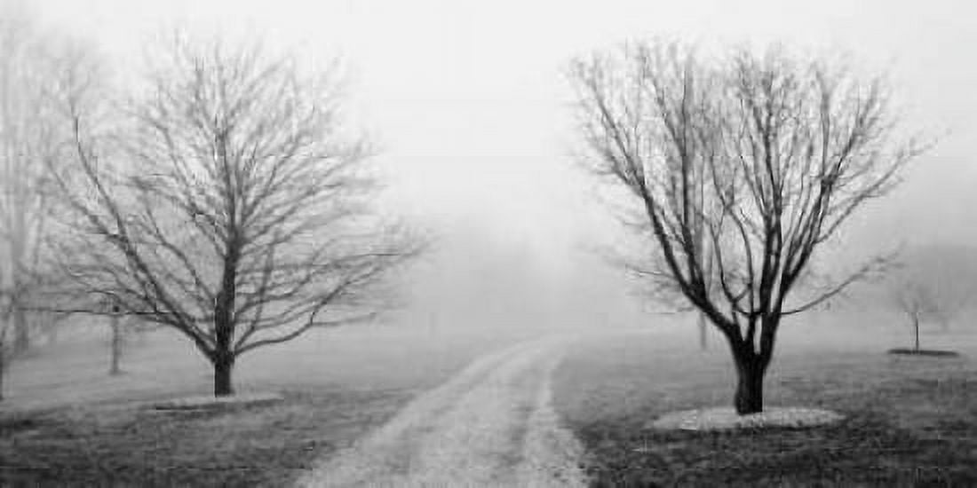 Road to Somewhere Canvas Art - Michael Iacobellis (24 x 48)