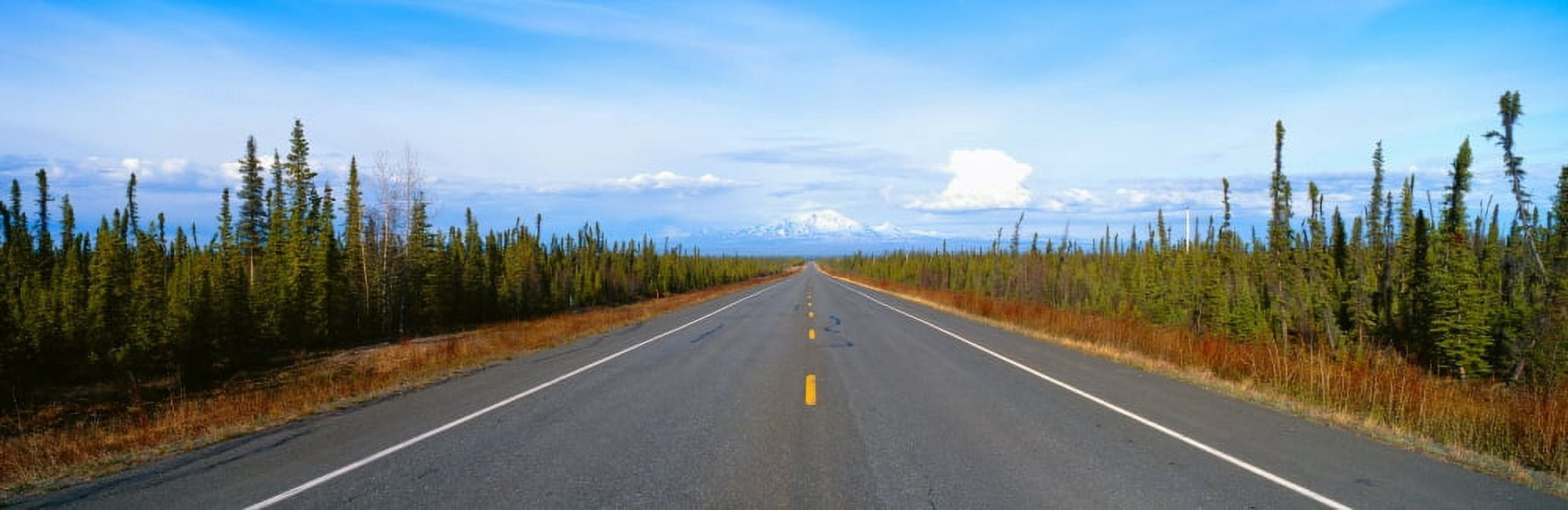 Road to Wrangell St Elias National Park Alaska Canvas Art - Panoramic Images (27 x 9)