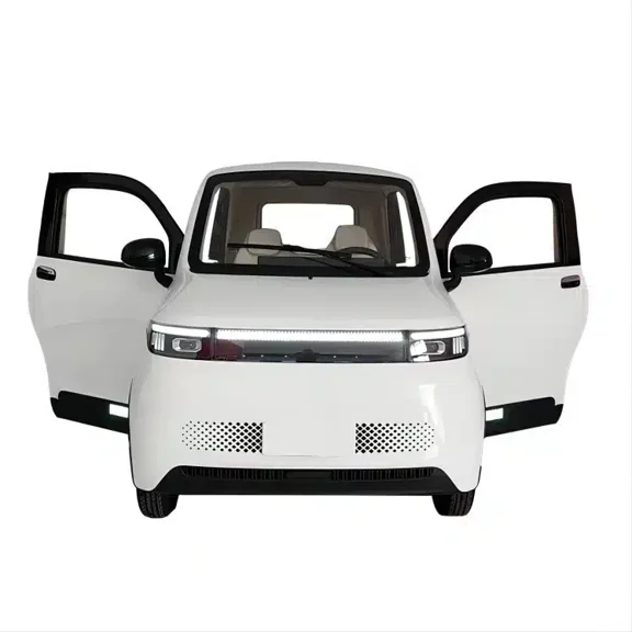 RoadMaster X-1200 Enclosed 2-Seater Electric Scooter  Powerful 4000W Motor, A/C, and Comfort Features