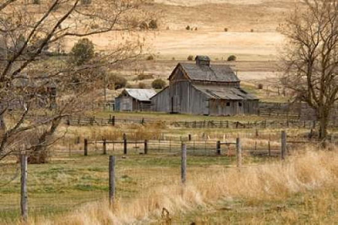 Roadside Barn Canvas Art - Ramona Murdock (24 x 36)