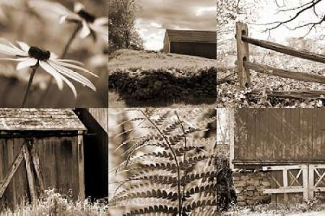 Roadside Beauty Canvas Art - Amber Light Gallery (12 x 18)