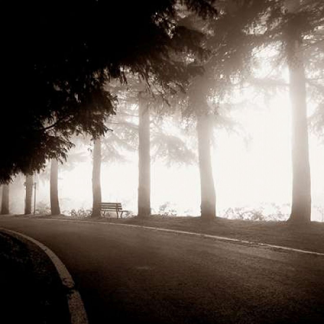 Roadside Bench Canvas Art - PhotoINC Studio (24 x 24)