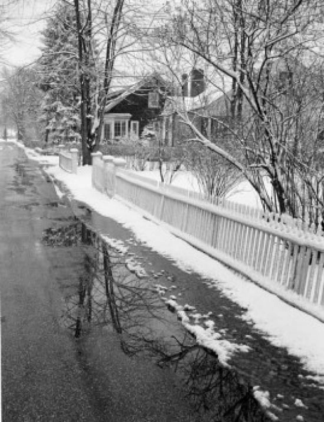 Roadside with snow and puddle Canvas Art - (24 x 36)
