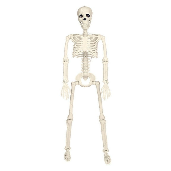RoamHome Halloween Simulation Skeleton Luminous Decoration - 16in Warm Color Standing & Hanging Ornament, Spooky White Plastic Skeleton for Party, Home & Outdoor Halloween Decor