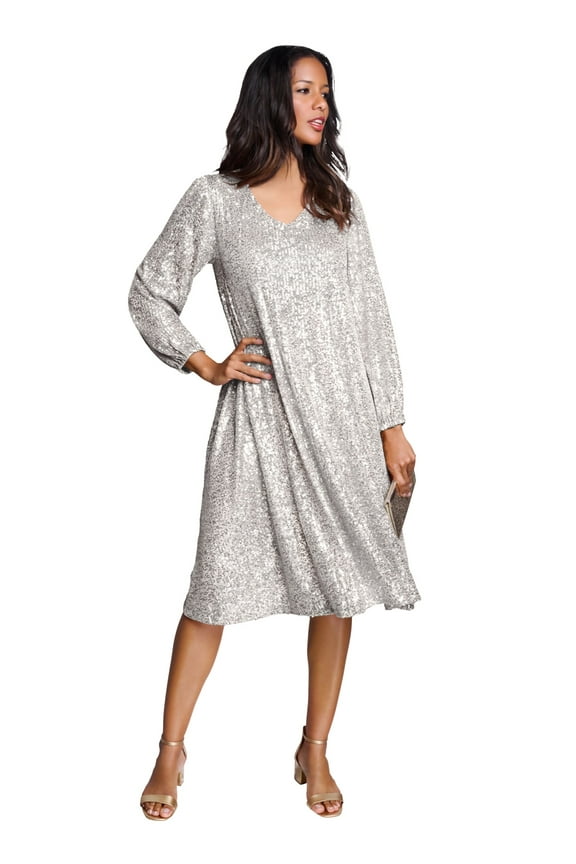 Women's Plus Size Sequin Swing Dress