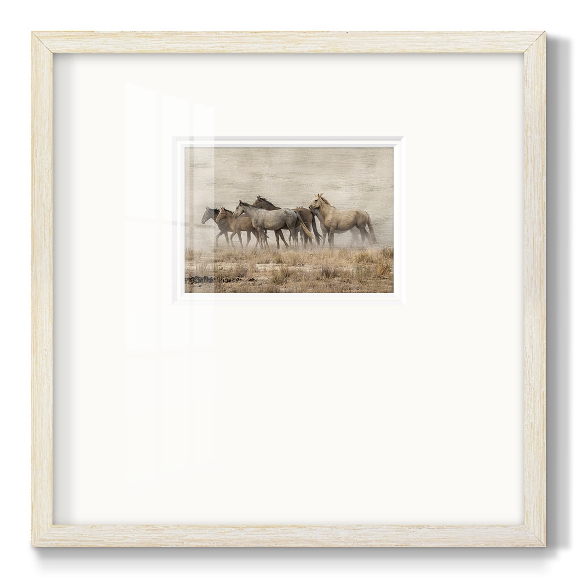Roaming FreePremium Framed Print