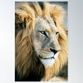 thumbnail image 1 of Roar Poster Wall Art, Modern Wall Decor For Living Room Bedroom, 24x36 UNFRAMED, 1 of 3