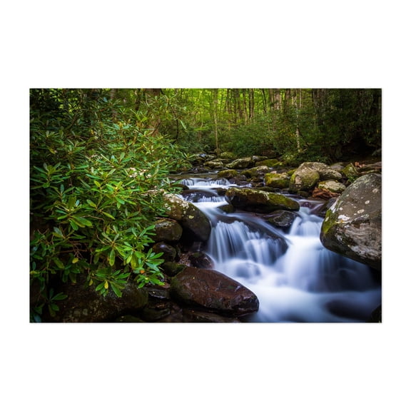 Roaring Fork Cascades - Tennessee Photography Nature Forest Waterfall Landscape Scenic Botanical Unframed Wall Art Print 4 x 6 inches