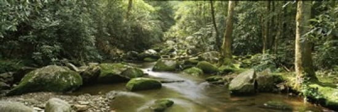 Roaring Fork River flowing through forest Roaring Fork Motor Nature Trail Great Smoky Mountains National Park Tennessee USA Canvas Art - Panoramic Images (36 x 12)