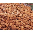 thumbnail image 1 of Roasted Salted Almonds 10 Lb Bulk Bag, 1 of 1